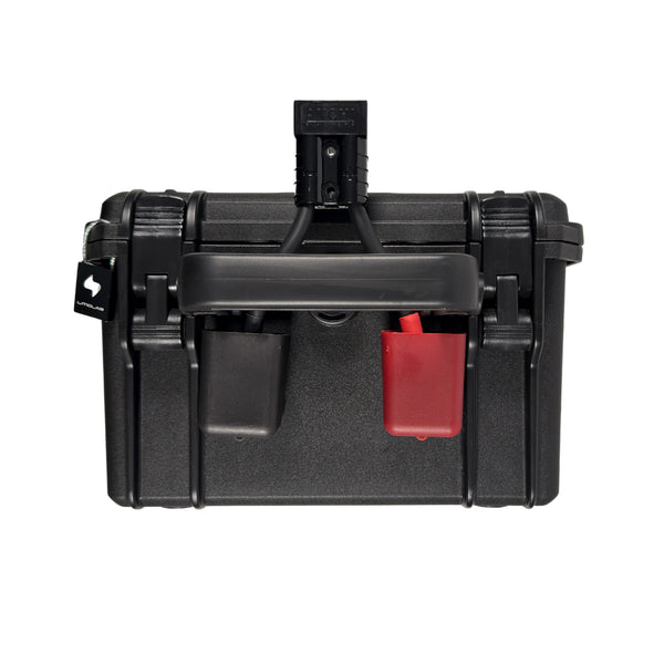 iEnergy Mini 24 / Smart Battery 24V - 50Ah
