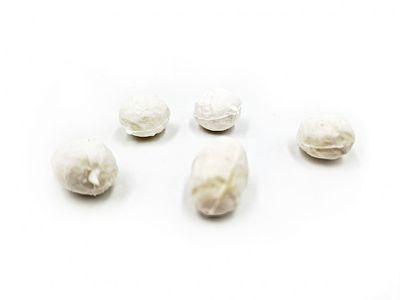 TIGER NUT FLUO WHITE - POP UP