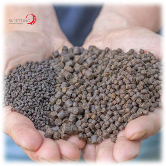 PELLET 6mm
